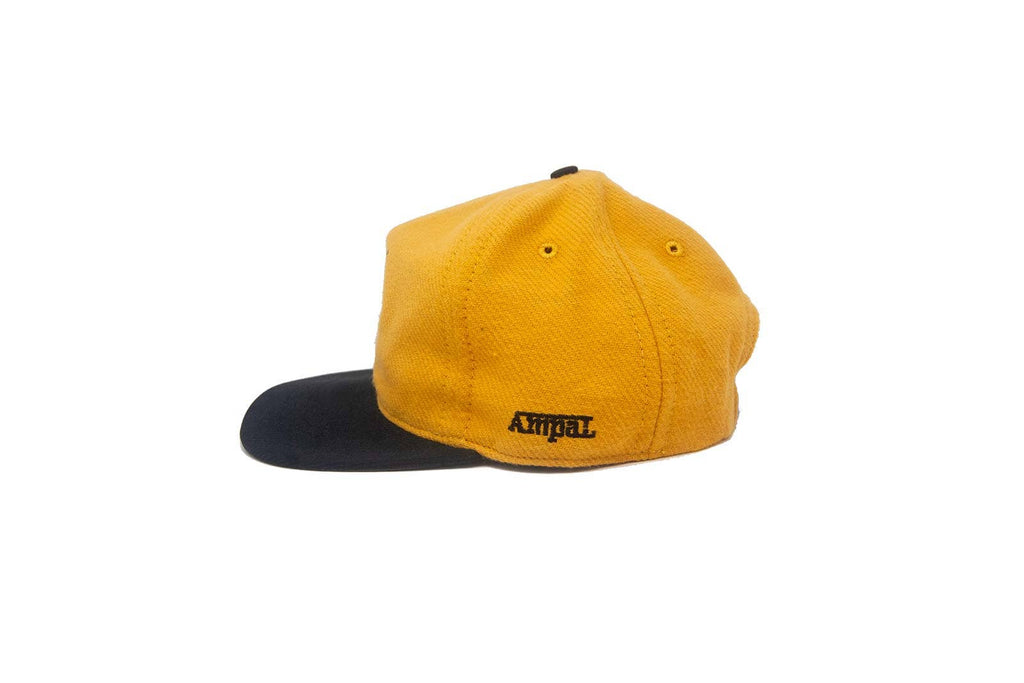 LIVE FAST Gold - Snapback