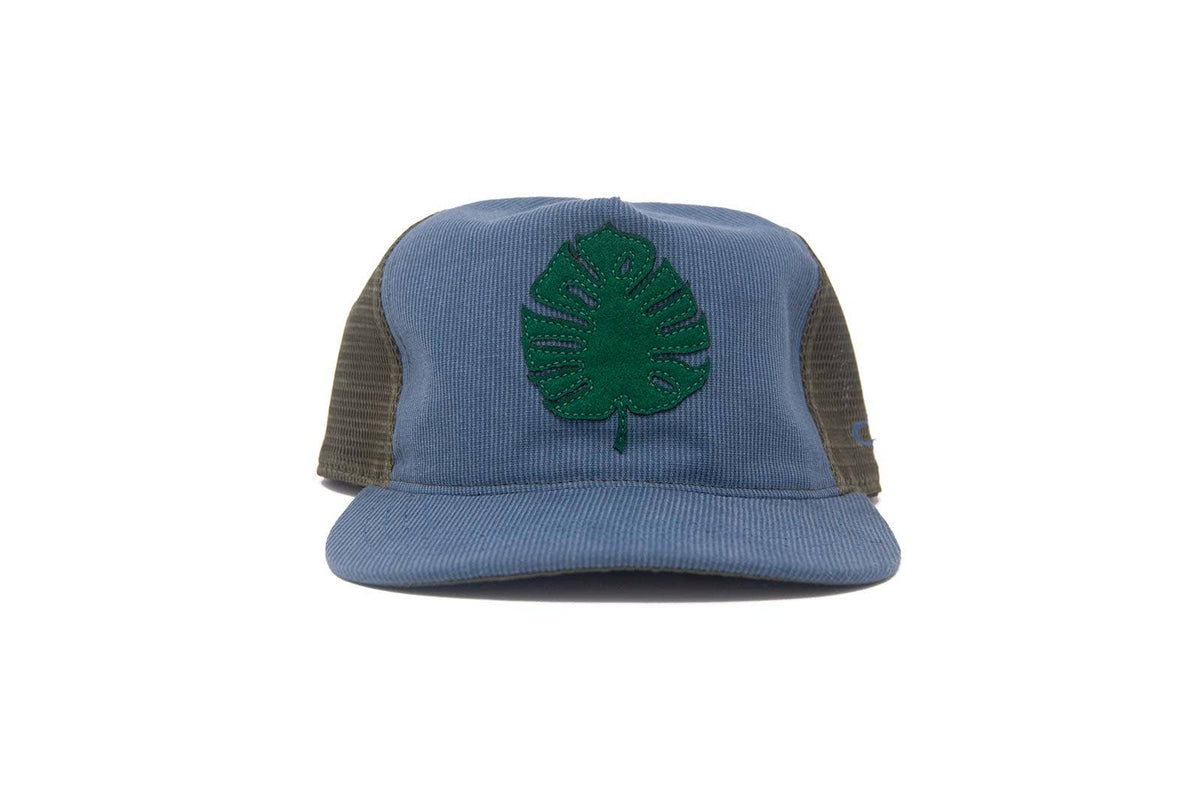 Blue cap with green leaf design on a white background