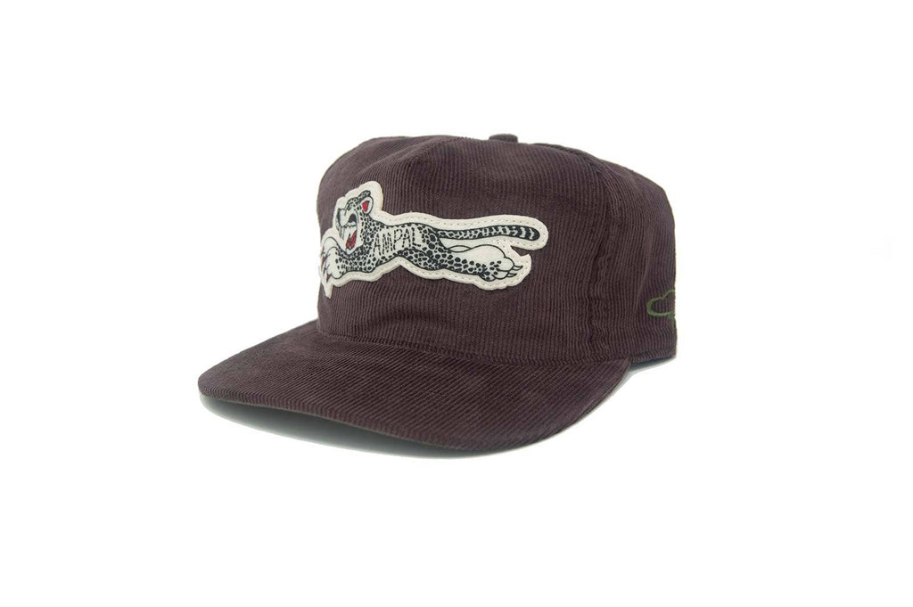 CHEETAH CORD - SNAPBACK