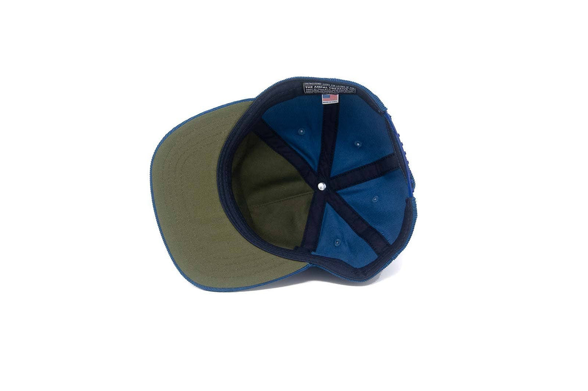 NY ALT CITY SERIES - Snapback
