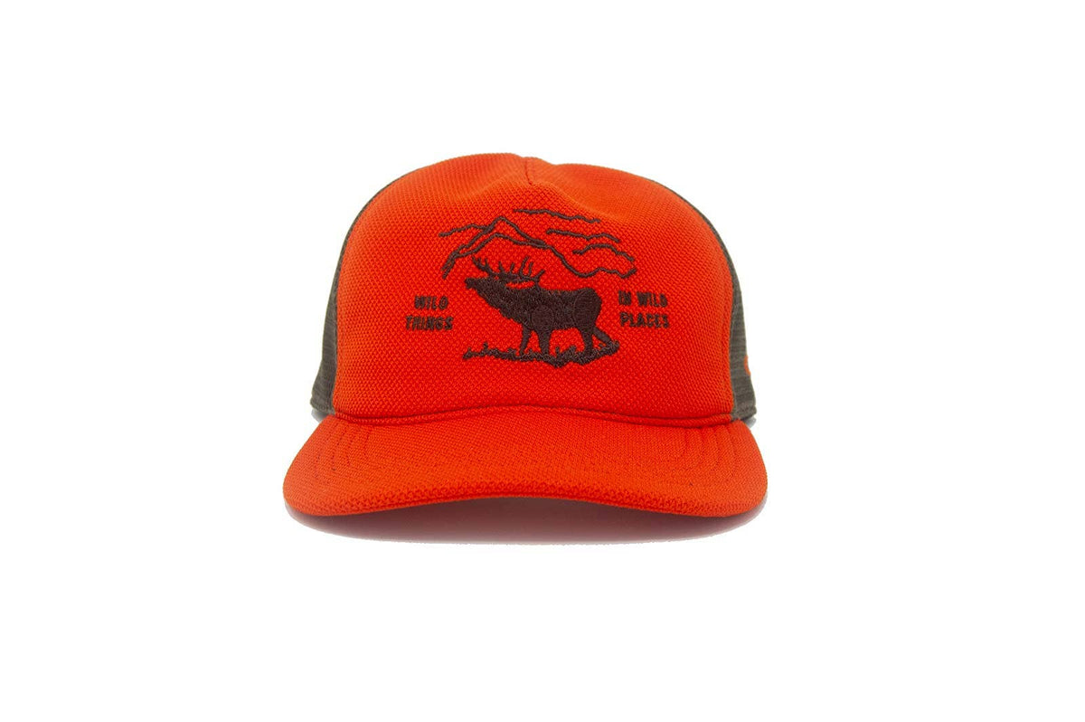 Orange cap with black graphic design of an elk on a white background